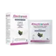 Electrorush Rehydration Sachets Blackcurrant Pack of 6