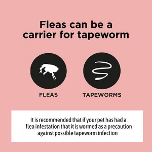 Pet Shield Worm Screen Worm Treatment for Cats Pack of 2