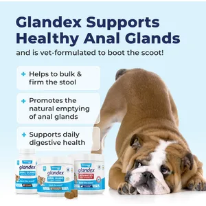 Glandex Vegan Anal Gland Support Powder for Dogs & Cats 70g