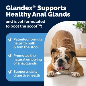 Glandex Anal Gland Support Soft Chews for Dogs Pack of 60