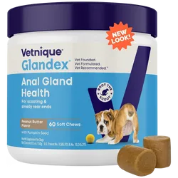 Glandex Anal Gland Support Soft Chews for Dogs Pack of 60