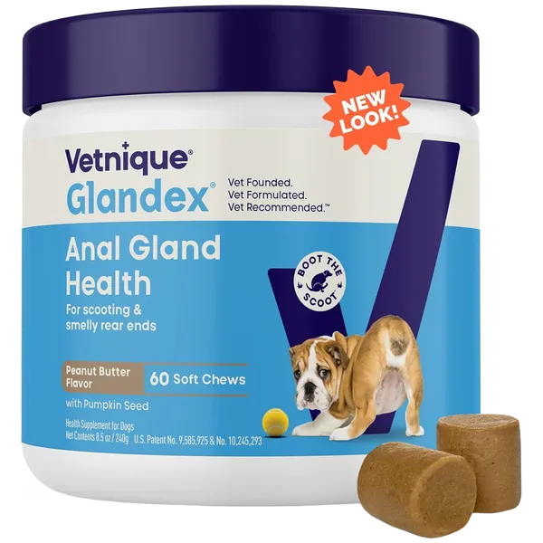 Glandex Anal Gland Support Soft Chews for Dogs Pack of 60