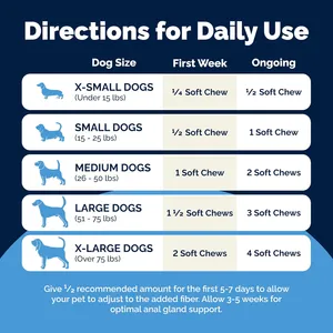 Glandex Anal Gland Support Soft Chews for Dogs Pack of 60