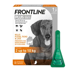 Frontline Plus Spot On Small Dog Pipettes Pack of 1