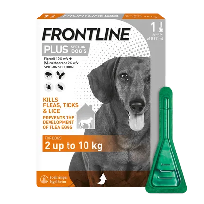 Frontline Plus Spot On Small Dog Pipettes Pack of 1