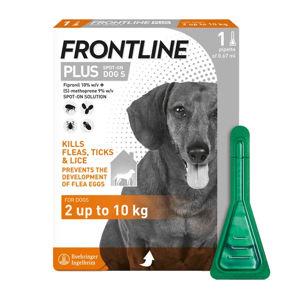 Frontline Plus Spot On Small Dog Pipettes Pack of 1