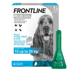 Frontline Plus Spot On Medium Dog Pipettes Pack of 1