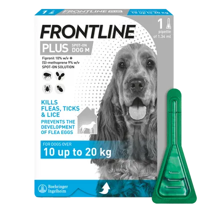 Frontline Plus Spot On Medium Dog Pipettes Pack of 1