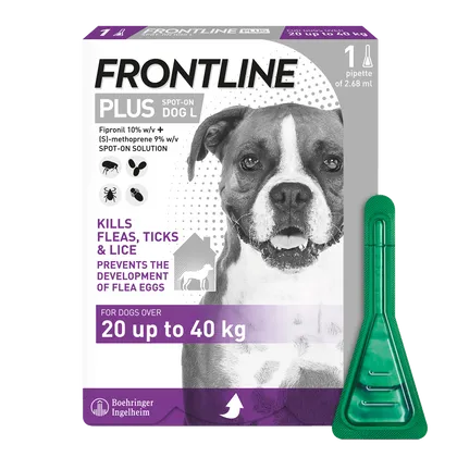 Frontline Plus Spot On Large Dog Pipettes Pack of 1