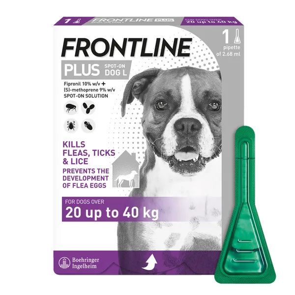 Frontline Plus Spot On Large Dog Pipettes Pack of 1