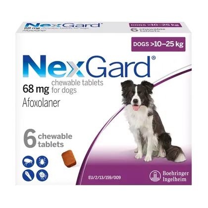 Nexgard Large Dog 10 – 25kg Chewable Tablets Pack of 6