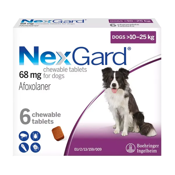 Nexgard Large Dog 10 – 25kg Chewable Tablets Pack of 6