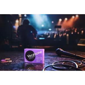 Vocalzone Blackcurrant Sugar Free Pastilles Pack of 24
