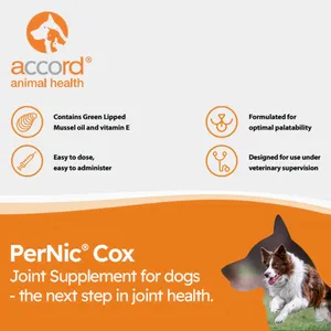 PerNic Cox Joint & Mobility Oral Paste for Dogs 30ml
