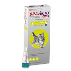 Bravecto Plus Spot-on for Small Cats (1.2 - 2.8kg)