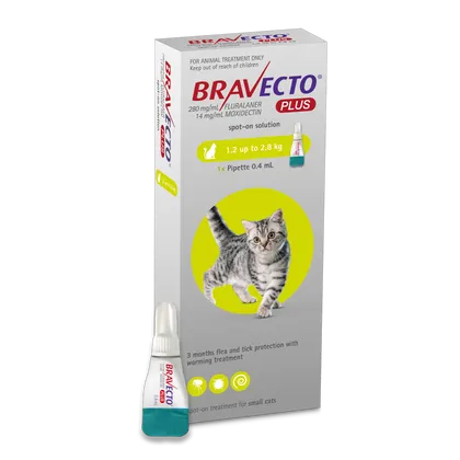 Bravecto Plus Spot-on for Small Cats (1.2 - 2.8kg)