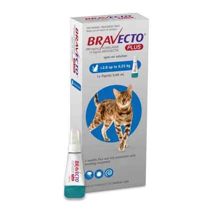 Bravecto Plus Spot-on for Medium Cats (2.8 - 6.25kg)