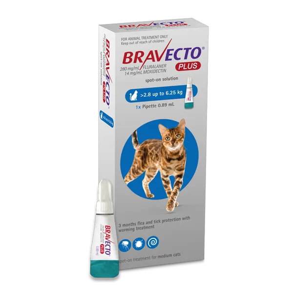 Bravecto Plus Spot-on for Medium Cats (2.8 - 6.25kg)