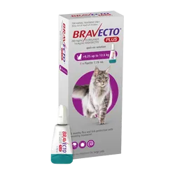 Bravecto Plus Spot-on for Large Cats (6.25 - 12.5kg)