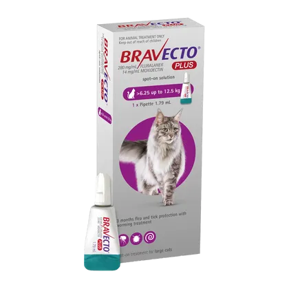 Bravecto Plus Spot-on for Large Cats (6.25 - 12.5kg)