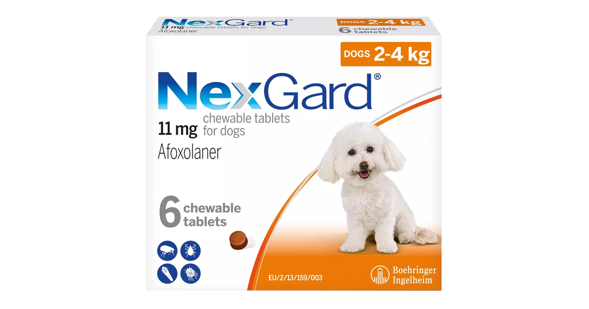 Nexgard Small Dog 2-4kg Chewables | Flea & Tick Relief