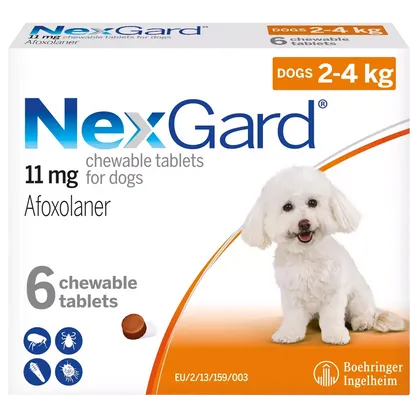 Nexgard Small Dog 2 – 4kg Chewable Tablets Pack of 6