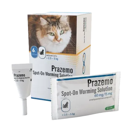 Prazemo Spot-On for Medium Cats 2.5 - 5kg Pack of 6