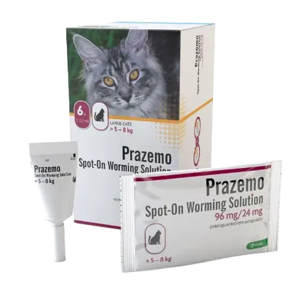 Prazemo Spot-On for Large Cats 5 - 8kg Pack of 6