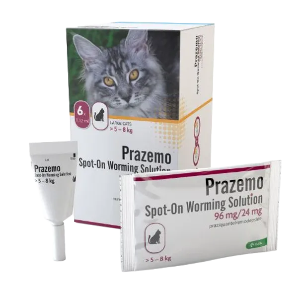 Prazemo Spot-On for Large Cats 5 - 8kg Pack of 6