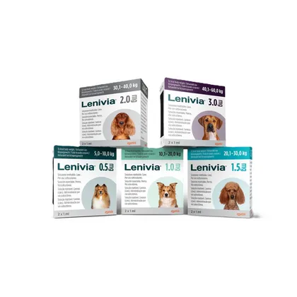 Lenivia 0.5 mg Solution for Injection for Dogs (2x 1ml vial)