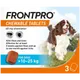 Frontpro Chewable Tablets for Large Dogs 10 – 25kg Pack of 3