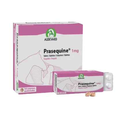 Prasequine (Pergolide For Horses) 1mg Tablet