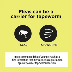 Pet Shield Worm Screen Spot-on Solution for Small Cats ≥ 0.5 - 2.5kg Pack of 3