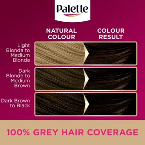 Palette Deluxe 3-0 Black Brown Oil Care Colour Permanent Hair Dye