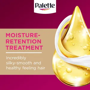 Palette Deluxe 3-0 Black Brown Oil Care Colour Permanent Hair Dye