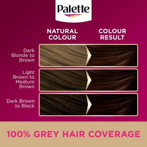 Palette Deluxe 3-65 Chocolate Brown Oil Care Colour Permanent Hair Dye