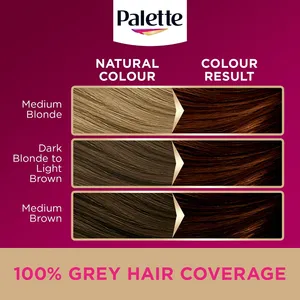 Palette Deluxe 5-68 Golden Chestnut Oil Care Colour Permanent Hair Dye