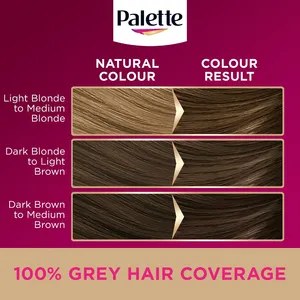 Palette Deluxe 6-0 Light Brown Oil Care Colour Permanent Hair Dye
