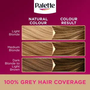 Palette Deluxe 7-0 Midway Blonde Oil Care Colour Permanent Hair Dye