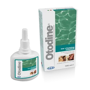 Otodine ear cleaning solution 100ml bottle and carton, front view.
