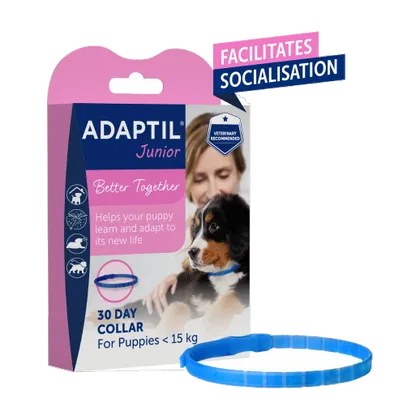 Adaptil Junior Collar for Puppies