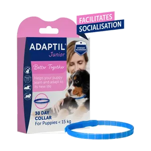 Adaptil Junior calming collar for puppies, pack with blue collar