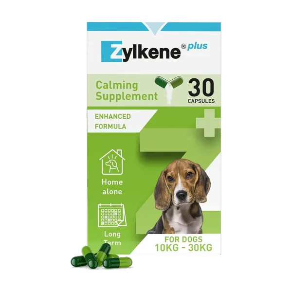 Zylkene Plus 225mg calming supplement for dogs from 10 to 30kg, pack of 30 capsules