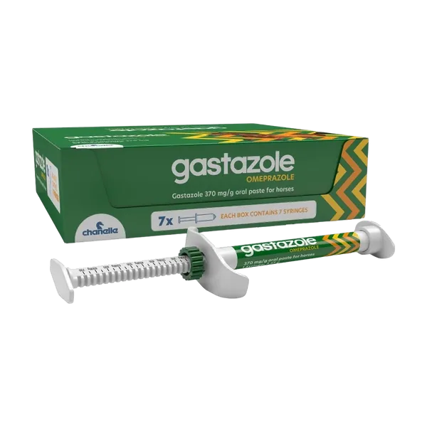 Gastazole 370mg/g Oral Paste for Horses carton of 7 syringes with one oral syringe in front.