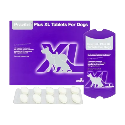 Prazitel Plus XL Tablets for Dogs Pack of 10