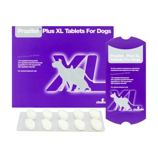 Prazitel Plus XL Tablets for Dogs carton with a blister of 10 tablets and the single-tablet pouch.