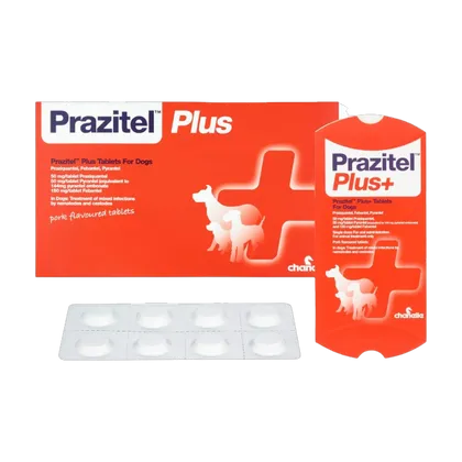 Prazitel Plus Tablets for Dogs Pack of 24