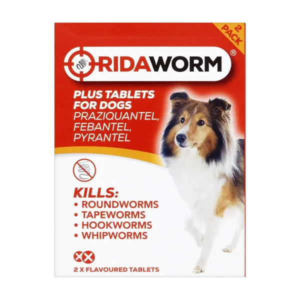 Ridaworm Plus Tablets for Dogs carton, 2 flavoured tablets, front view.