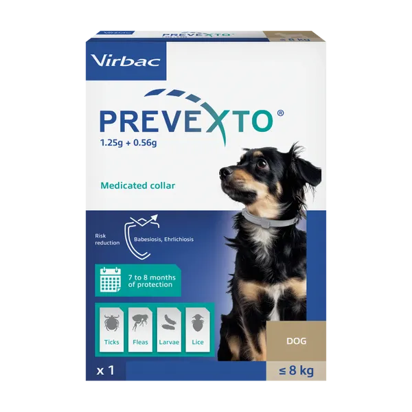 Prevexto 1.25g + 0.56g Medicated Collar for Dogs up to 8kg carton, one 38cm collar, front view.