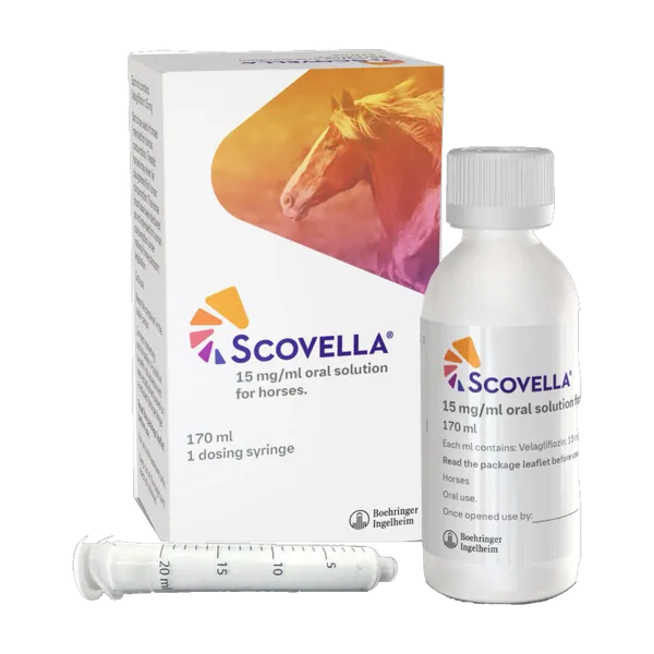 Scovella 15mg/ml oral solution for horses, 170ml carton with bottle and dosing syringe.